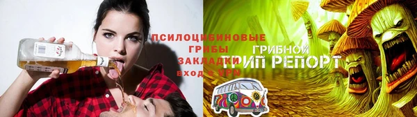 apvp Алзамай