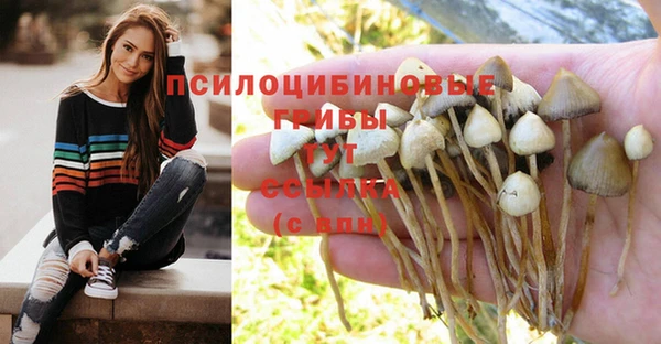 наркотики Нефтегорск